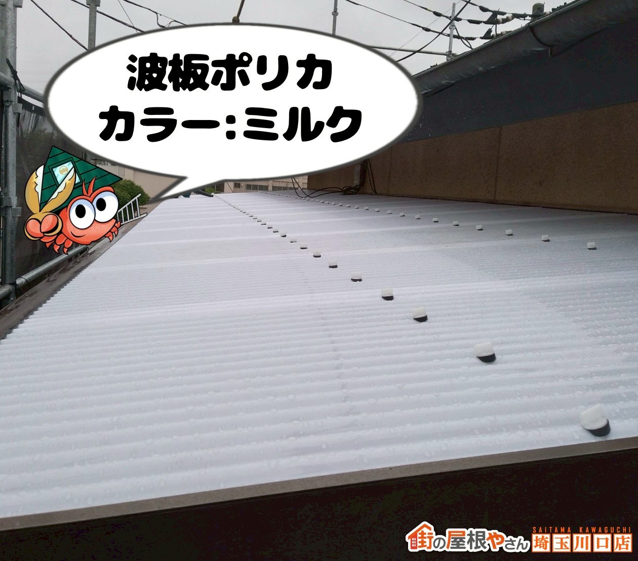 新規ポリカ波板の取り付け